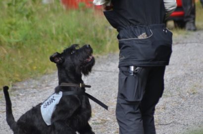 Resultat av klubbpriser 2020