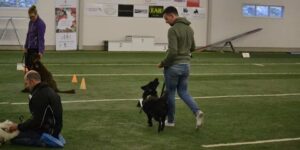 Rabatt vid bokning i Värnamo Hundarena