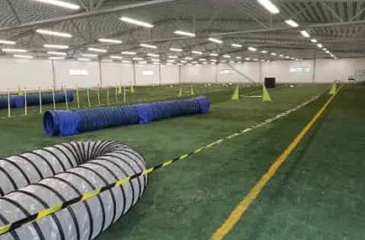 Allmänträning i Värnamo Hundarena