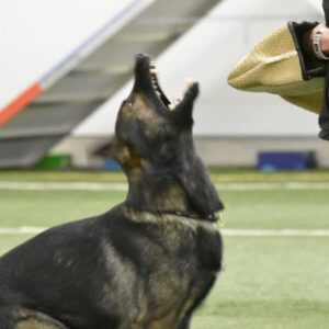 Klippkort till Värnamo Hundarena