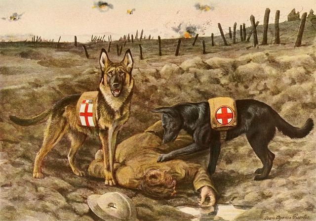 Försvarsmaktens hundtjänstenhet