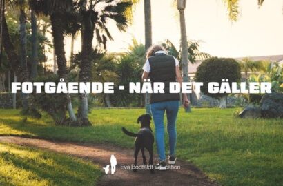 Träna fotgående med Eva Bodfäldt